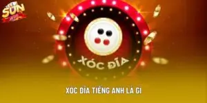 Xóc Đĩa Tiếng Anh Là Gì - Giải Thích Thuật Ngữ Chi Tiết